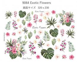 Exotic Flowers   9064