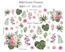 Exotic Flowers   9064