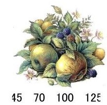 Pommes(apples)