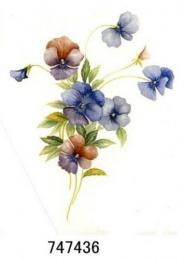 JM　Pansies