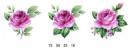 Petite Rose    S3596　　3柄セット