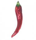 Chile Pepper