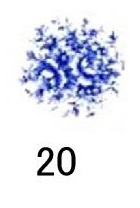 Royal　Blue　小花　6こ