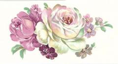 Bohemia  BーTipe　8～12・16