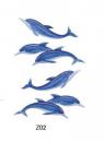 Dolphins　1シート