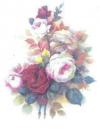 Roses　クラッシック　　70146A