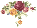 Village Rose　A/Bタイプ