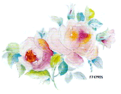 JM　Eleanor　エレノア 12324