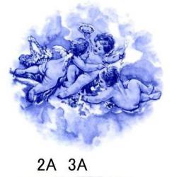 Cherubs　Blue