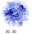 Cherubs　Blue