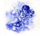 Cherubs　Blue