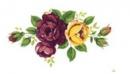 Cottage Rose　S3567