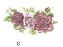 Rose   PD101
