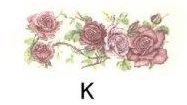Rose　　PD101