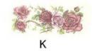 Rose　　PD101