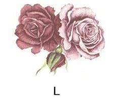 Rose　　PD101