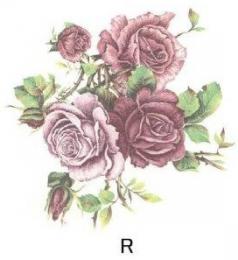 Rose　　PD101