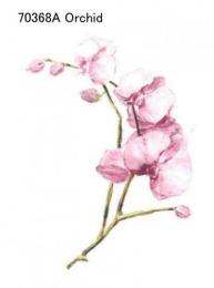 Orchid 70368A