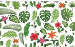 Tropical  SS   # 6010