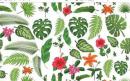 Tropical  SS   # 6010