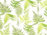  Fern      S3084