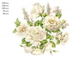 White Mist Round　S3469