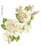White　Mist　　Bタイプ　A,B,C,D,E  S3469