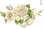 White　Mist　F/G
