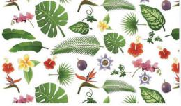 Tropical LS