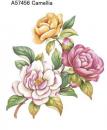 Camellia
