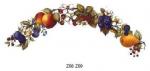 Fruits  curve   A53975