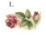 Village　Rose　M -5個