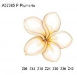 Plumeria