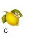 Lemon　C　4こ　
