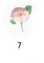 Tania 　　小花　10こ