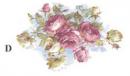 Elizabeth Rose　　S2693