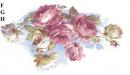 Elizabeth Rose　　　S2692