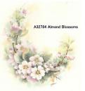 Almond Blossoms