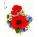 Poppy Meadow