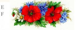 Poppy Meadow