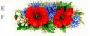 Poppy Meadow