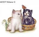 Kittens  Mot3