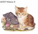 Kittens  Mot4