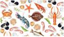 Sealife　　3594