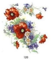 Poppies