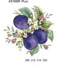 Plum  A57469