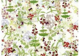 Botanical　Small　廃番