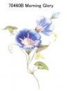 Morning　Glory　　70460