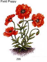  ガラス用　Field  Poppy　(廃番品)