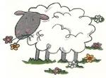 Sheep